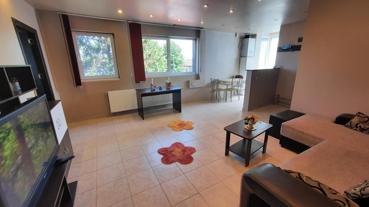 Spacious, Modern Condo In New Villa - Sleeps 6 Bukarest Exterior foto